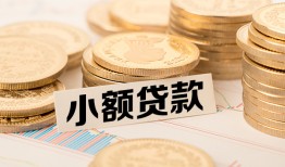 北京29哪里有小额贷款-北京29身份证贷款平台-北京29民间短借